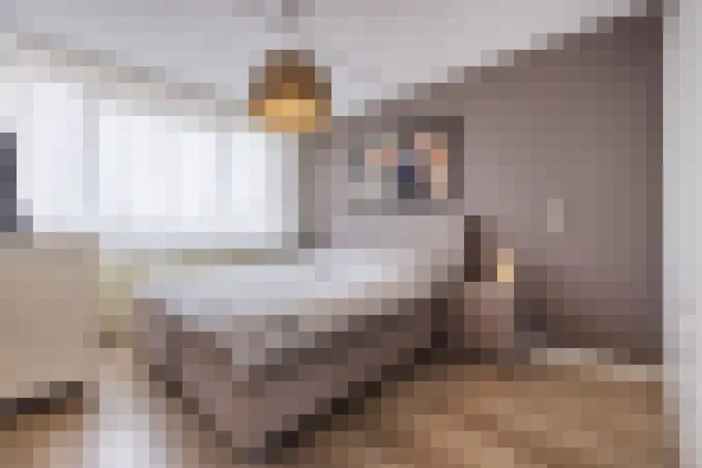 Baron van Leydenstraat 18 Hellevoetsluis thumbnail 11
