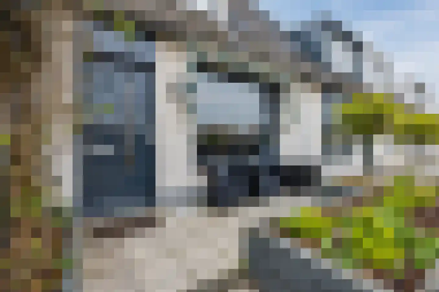 Baron van Leydenstraat 18 Hellevoetsluis thumbnail 30