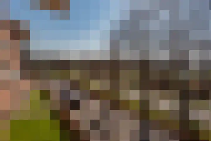Baron van Lyndenstraat 38 Elburg thumbnail 20