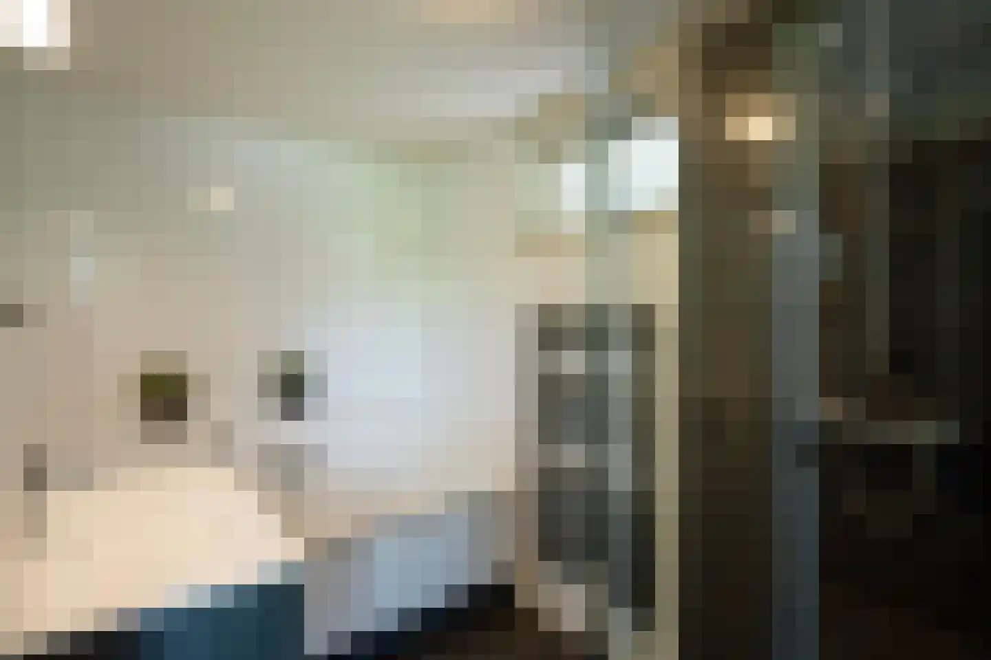 Baron van Nagellstraat 24 Voorthuizen thumbnail 15