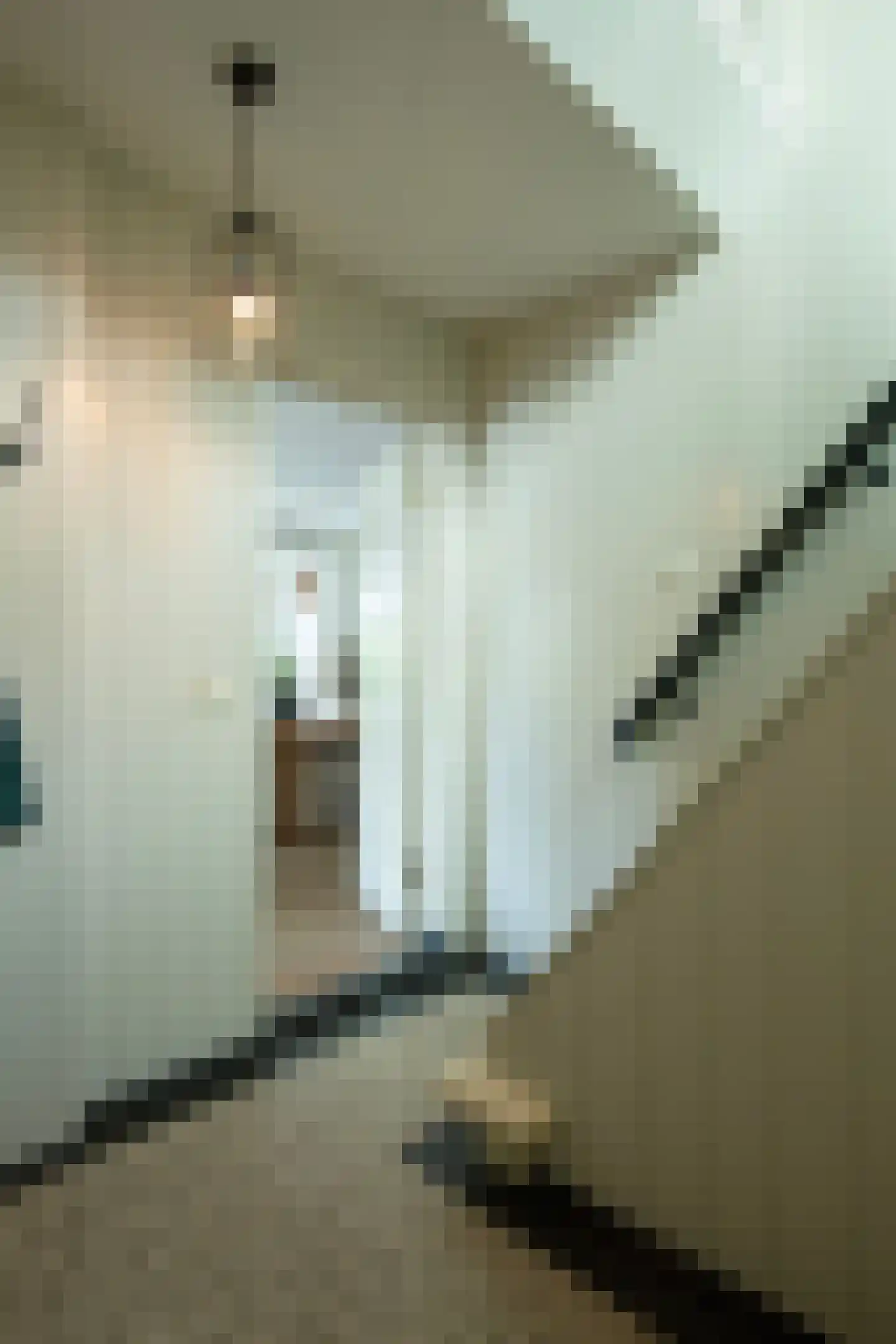 Baron van Nagellstraat 24 Voorthuizen thumbnail 16
