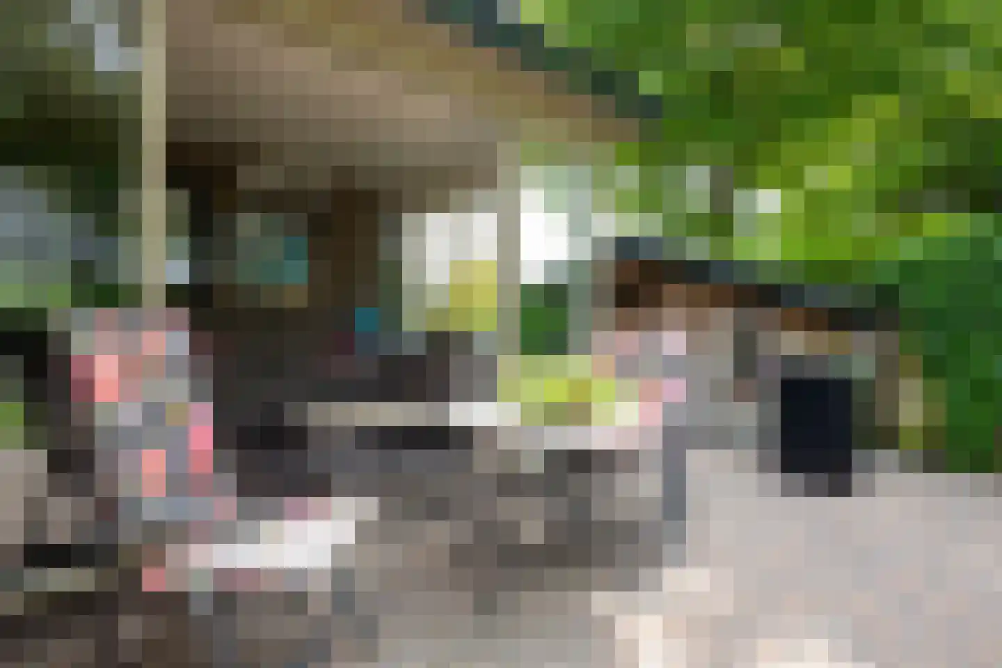 Baron van Nagellstraat 24 Voorthuizen thumbnail 28