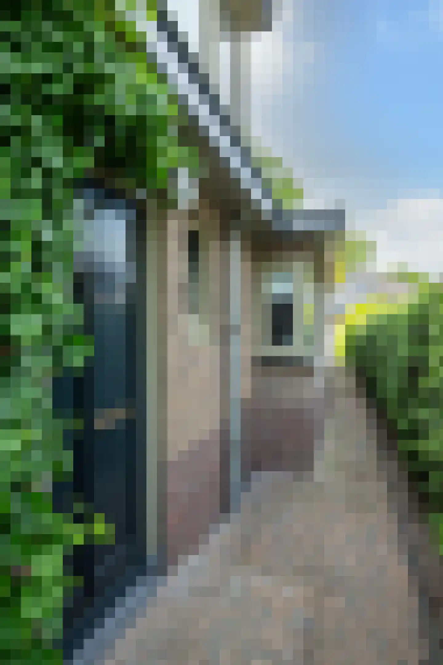 Baron van Nagellstraat 24 Voorthuizen thumbnail 42