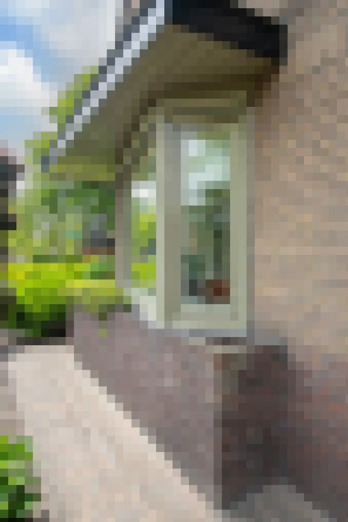 Baron van Nagellstraat 24 Voorthuizen thumbnail 43