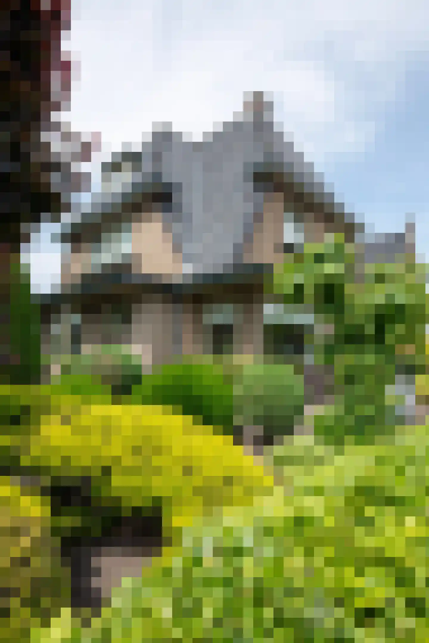 Baron van Nagellstraat 24 Voorthuizen thumbnail 44
