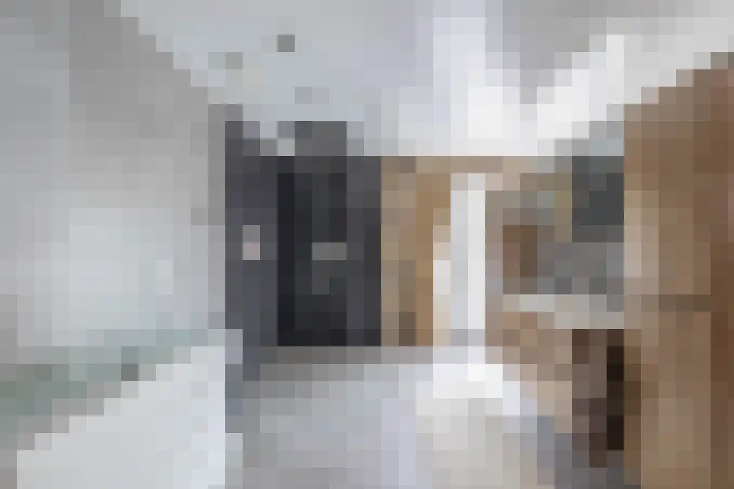 Baron van Nagellstraat 30 Voorthuizen thumbnail 23