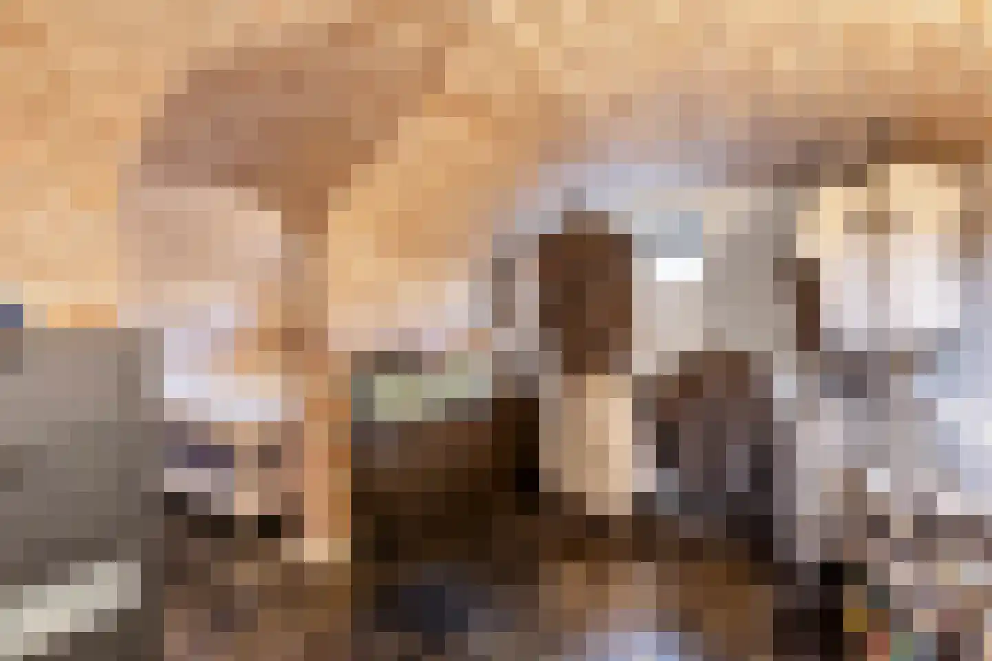 Baron Van Spittaellaan 1 a Huissen thumbnail 11