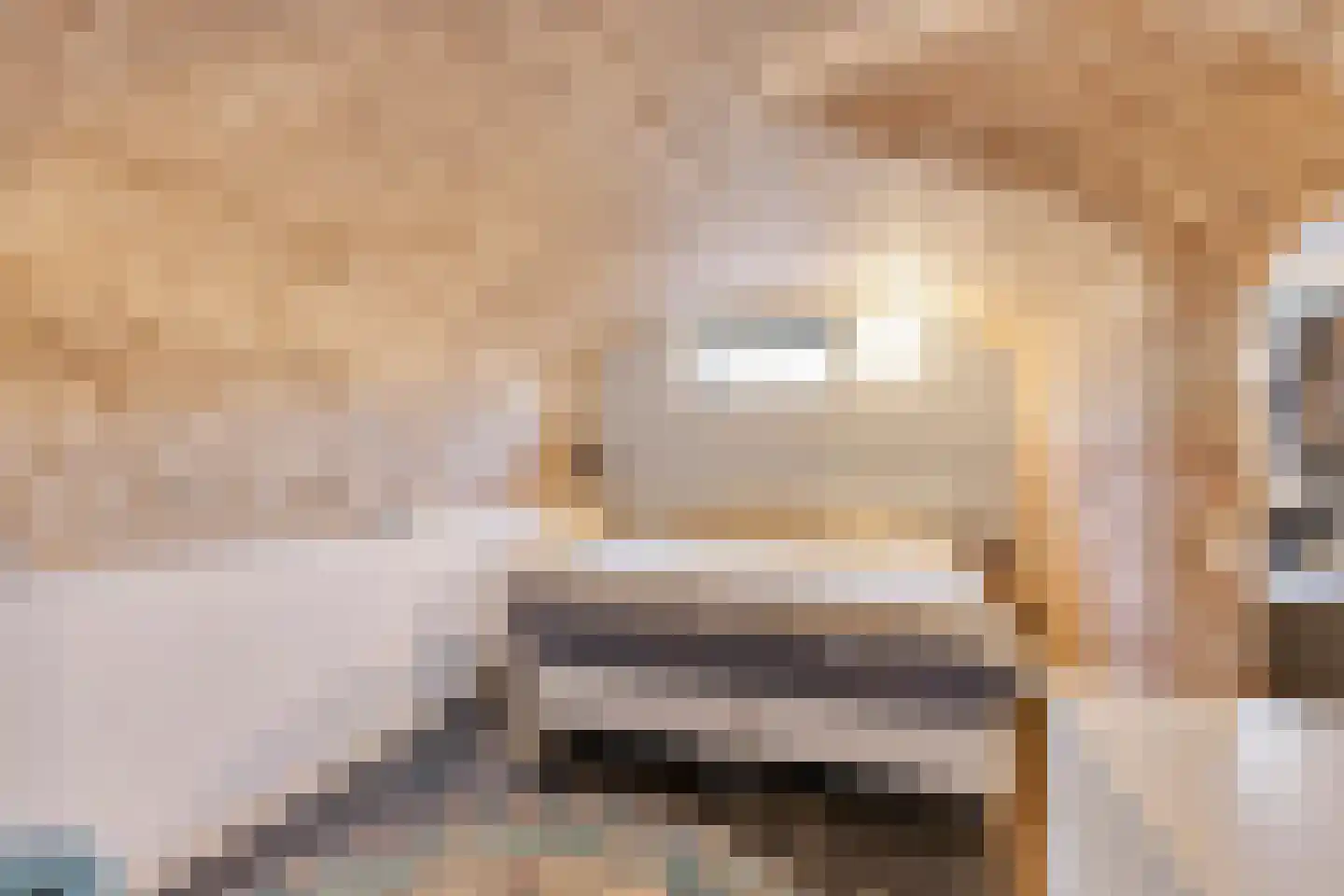 Baron Van Spittaellaan 1 a Huissen thumbnail 12