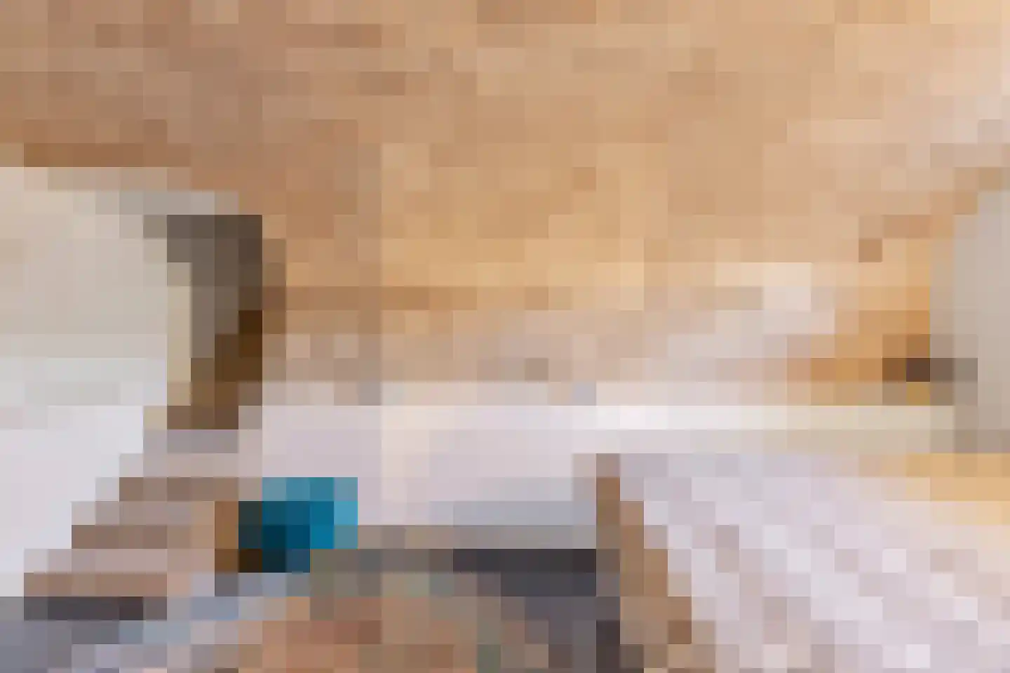 Baron Van Spittaellaan 1 a Huissen thumbnail 13