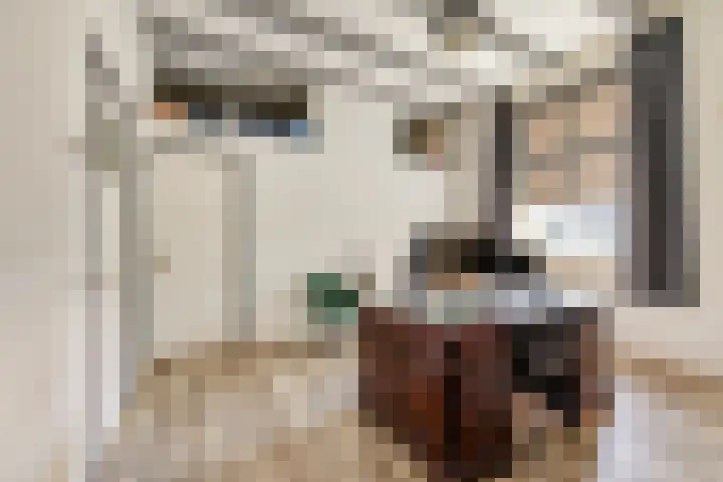 Baron Van Spittaellaan 1 a Huissen thumbnail 16