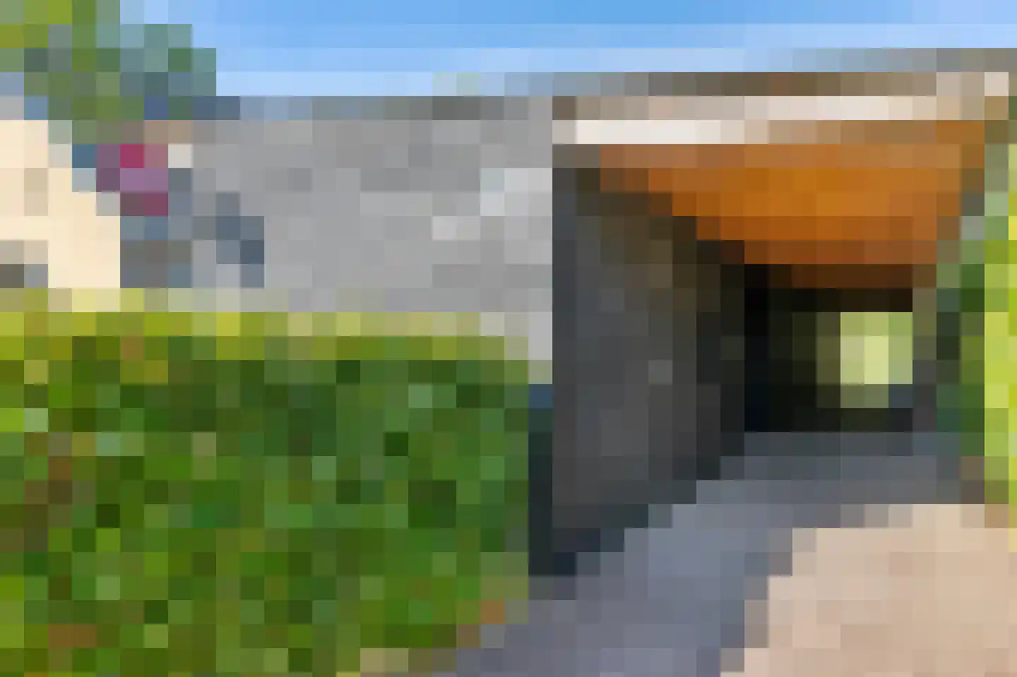 Baron Van Spittaellaan 1 a Huissen thumbnail 24