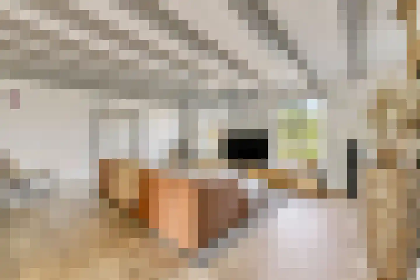 Baron Van Spittaellaan 1 a Huissen thumbnail 4