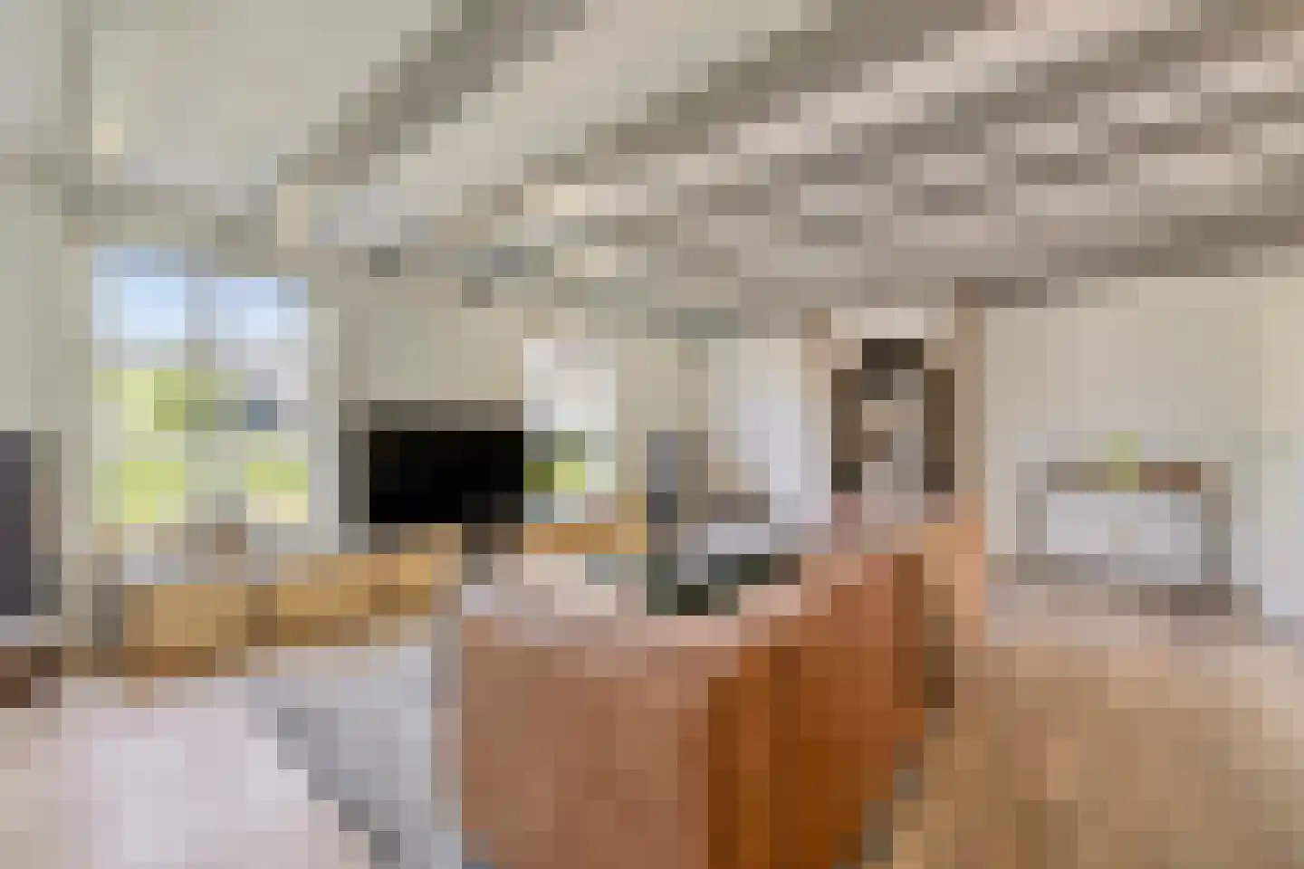 Baron Van Spittaellaan 1 a Huissen thumbnail 5