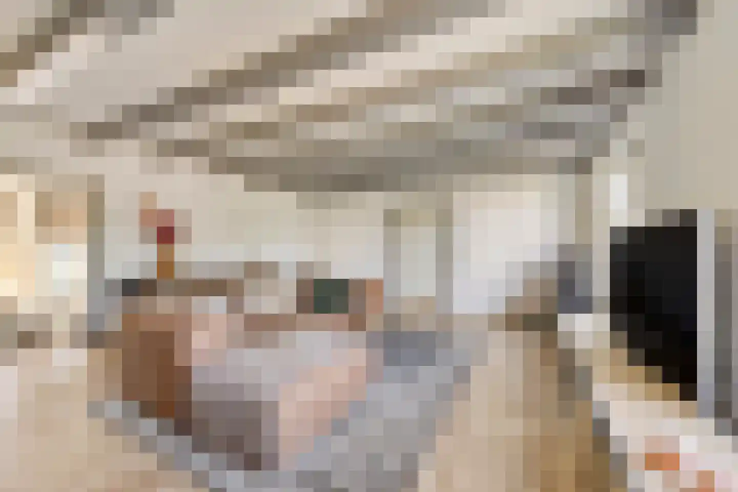 Baron Van Spittaellaan 1 a Huissen thumbnail 6