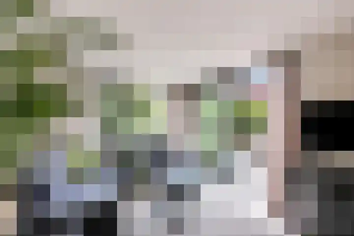 Baron Van Spittaellaan 33 Huissen thumbnail 16