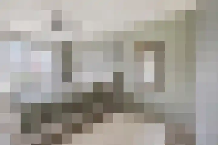 Baron Van Spittaellaan 33 Huissen thumbnail 18