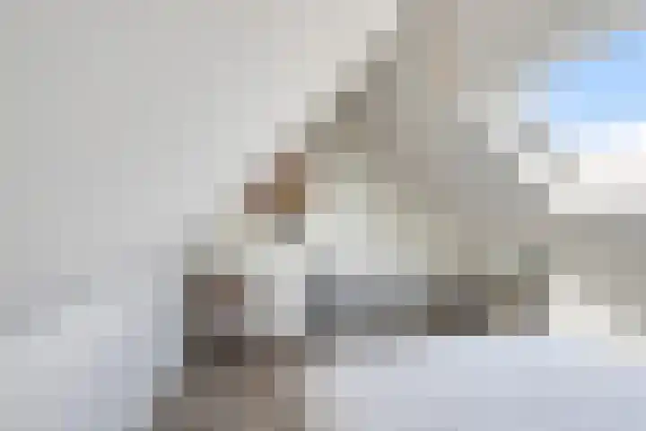 Baron Van Spittaellaan 33 Huissen thumbnail 26