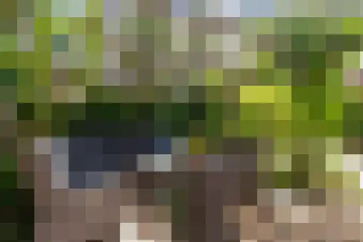 Baron Van Spittaellaan 33 Huissen thumbnail 30