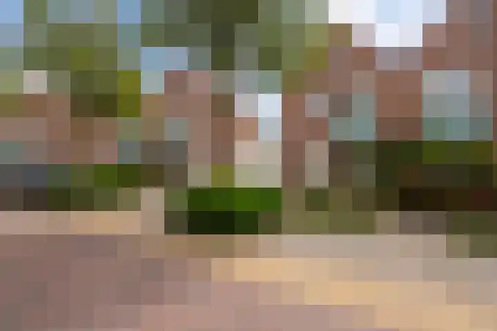 Baron Van Spittaellaan 33 Huissen thumbnail 4