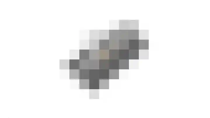 Baron Van Spittaellaan 33 Huissen thumbnail 42