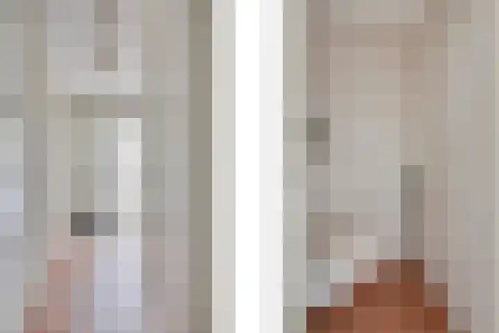Baron Van Spittaellaan 33 Huissen thumbnail 7