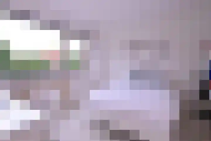 Baron van Sytzamastraat 62 Brummen thumbnail 17
