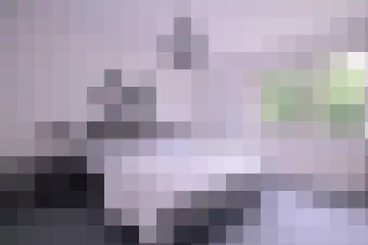 Baron van Sytzamastraat 62 Brummen thumbnail 20