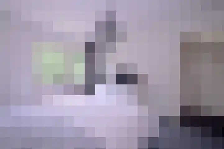 Baron van Sytzamastraat 62 Brummen thumbnail 21