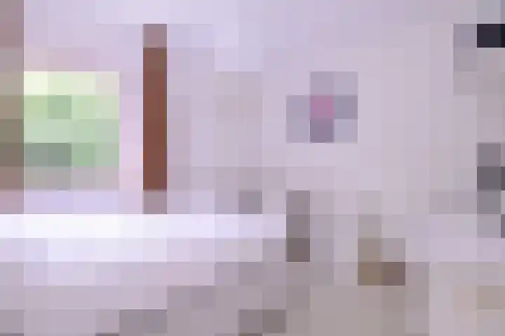 Baron van Sytzamastraat 62 Brummen thumbnail 23