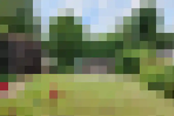 Baron van Sytzamastraat 62 Brummen thumbnail 38