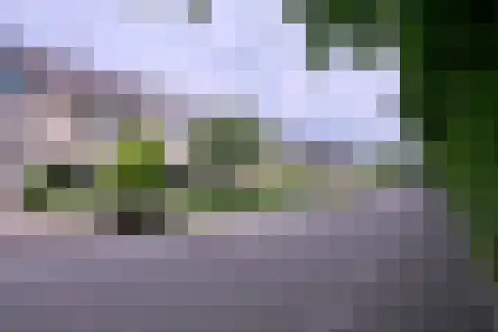 Baron van Sytzamastraat 62 Brummen thumbnail 39