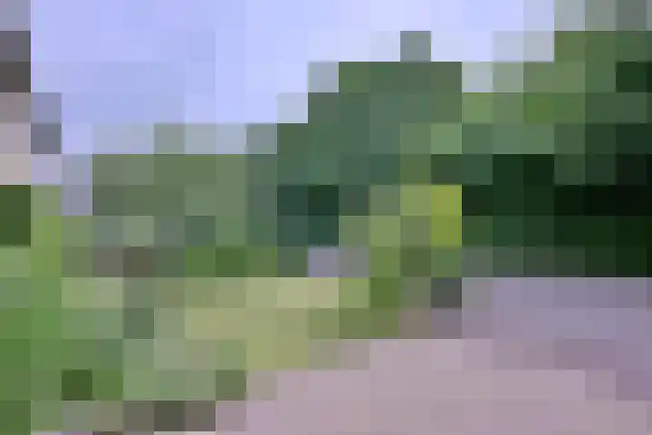 Baron van Sytzamastraat 62 Brummen thumbnail 41