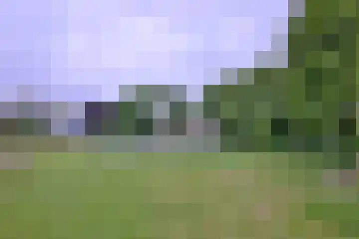 Baron van Sytzamastraat 62 Brummen thumbnail 42