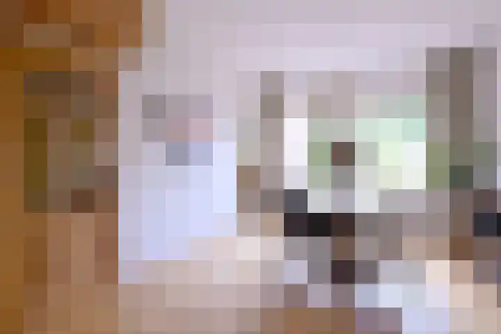 Baron van Sytzamastraat 62 Brummen thumbnail 8