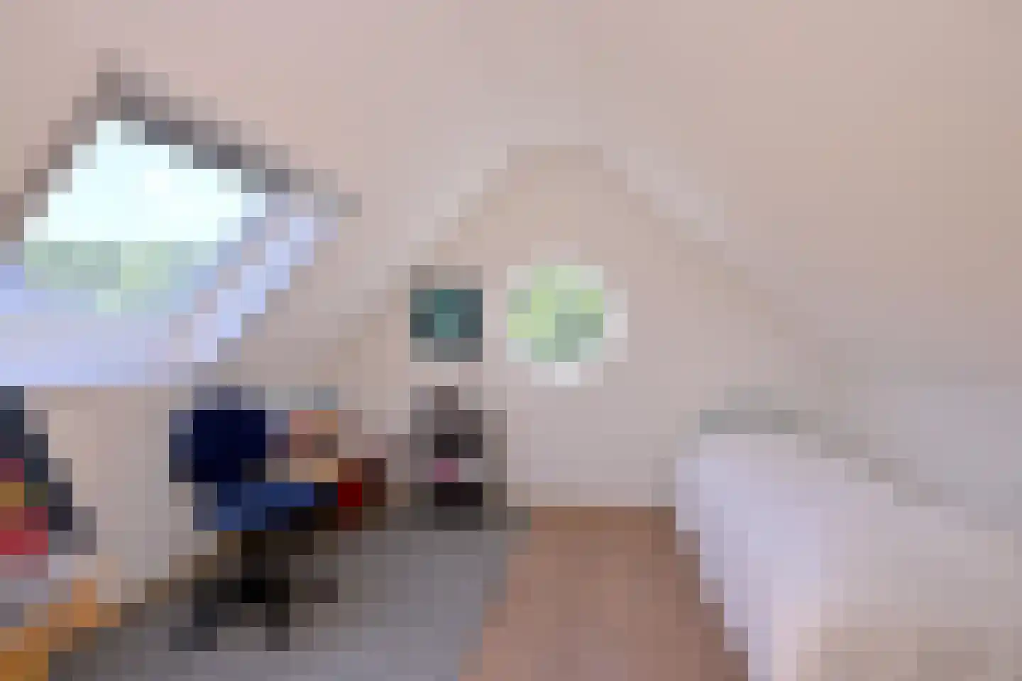 Baron van Sytzamastraat 76 Brummen thumbnail 30