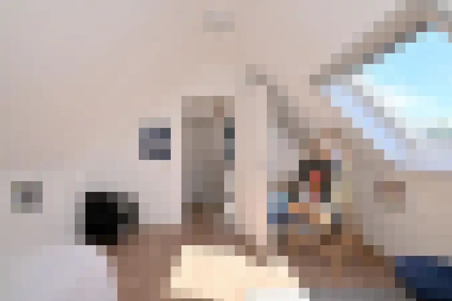Baron van Sytzamastraat 76 Brummen thumbnail 31