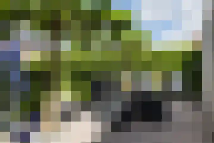 Baron van Sytzamastraat 92 Brummen thumbnail 28
