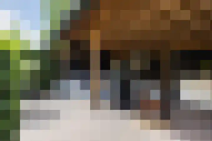 Baron van Sytzamastraat 92 Brummen thumbnail 31