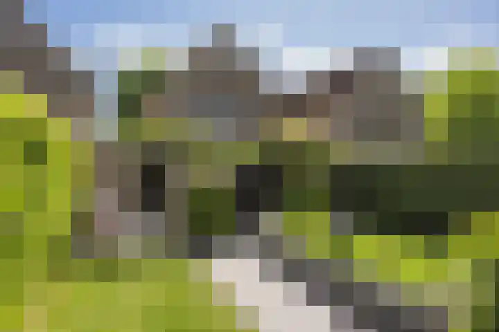 Baron van Sytzamastraat 92 Brummen thumbnail 33