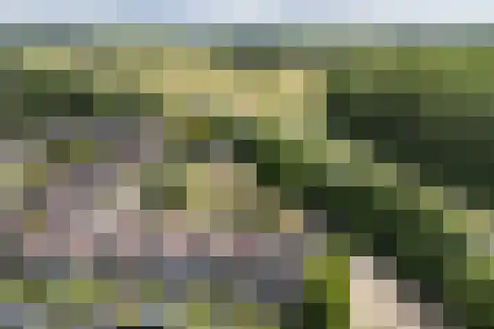 Baron van Sytzamastraat 92 Brummen thumbnail 34