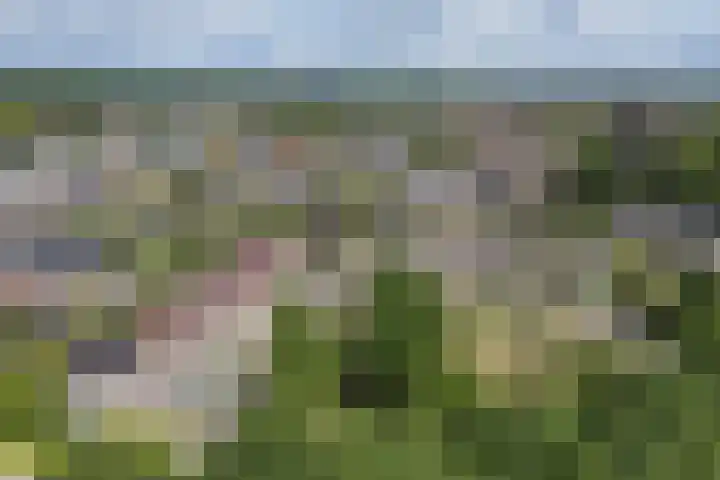 Baron van Sytzamastraat 92 Brummen thumbnail 44
