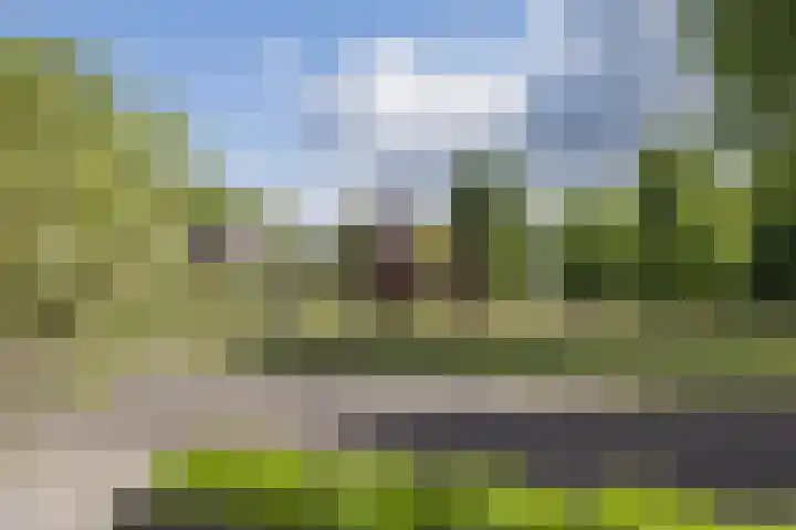 Baron van Sytzamastraat 92 Brummen thumbnail 6