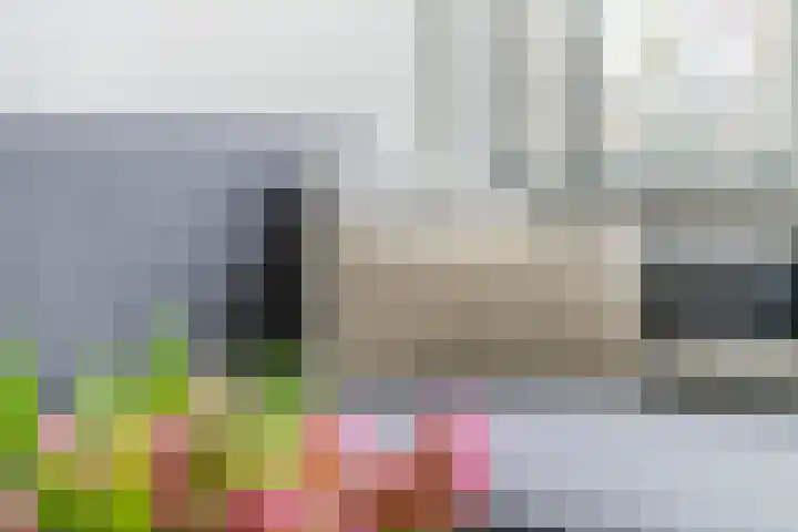 Baron van Tillweg 10 Lienden thumbnail 10