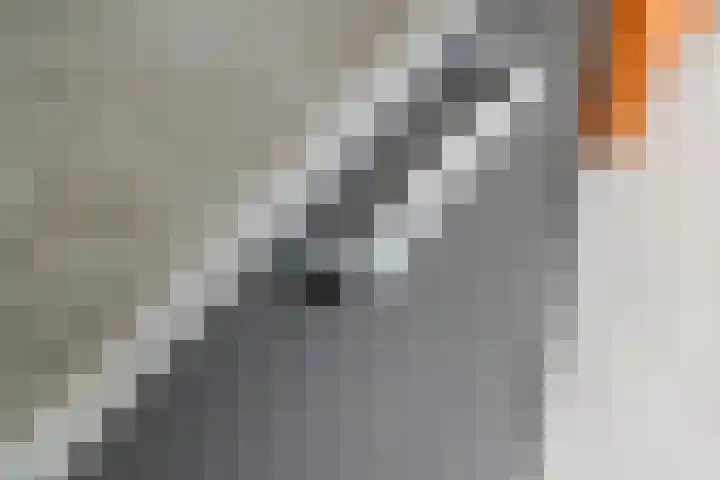 Baron van Tillweg 10 Lienden thumbnail 15
