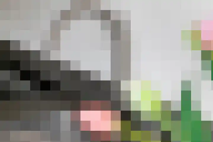 Baron van Tillweg 10 Lienden thumbnail 16