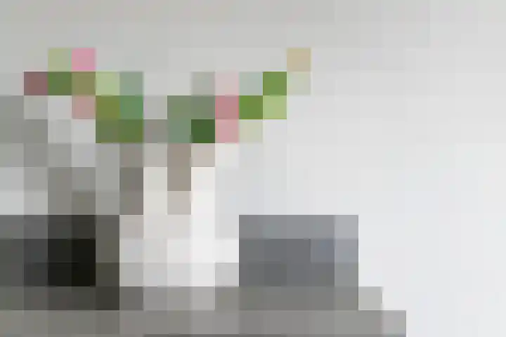 Baron van Tillweg 10 Lienden thumbnail 19