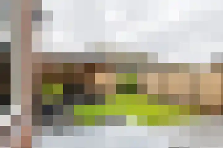 Baron van Tillweg 10 Lienden thumbnail 21