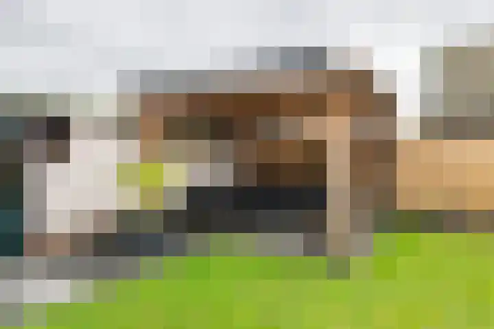 Baron van Tillweg 10 Lienden thumbnail 22