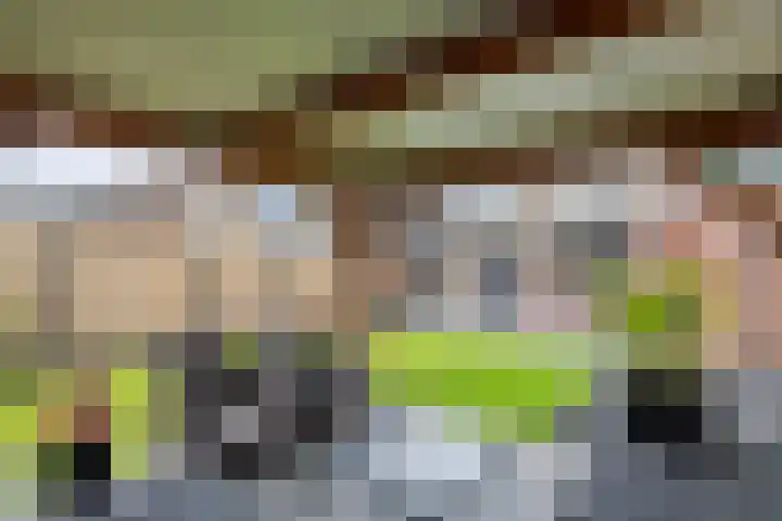 Baron van Tillweg 10 Lienden thumbnail 23