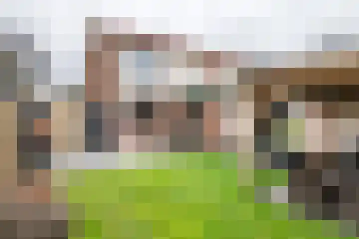 Baron van Tillweg 10 Lienden thumbnail 24